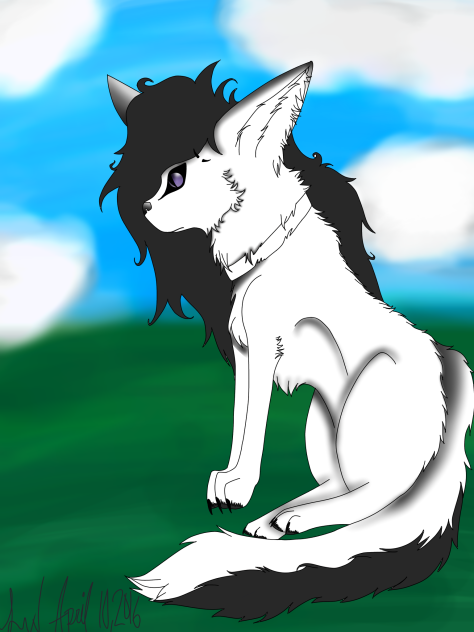 random wolf - ibisPaint
