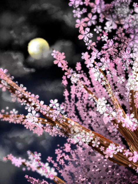 夜桜満月