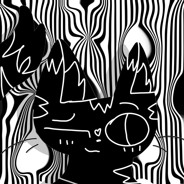 Black and white cat