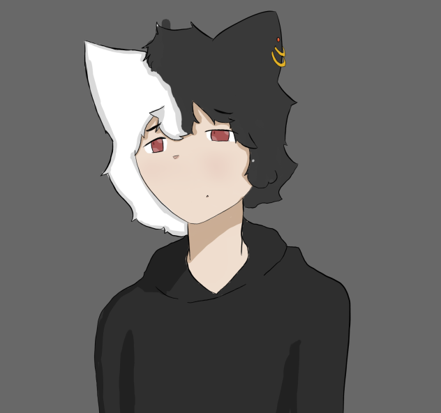 The look - ibisPaint