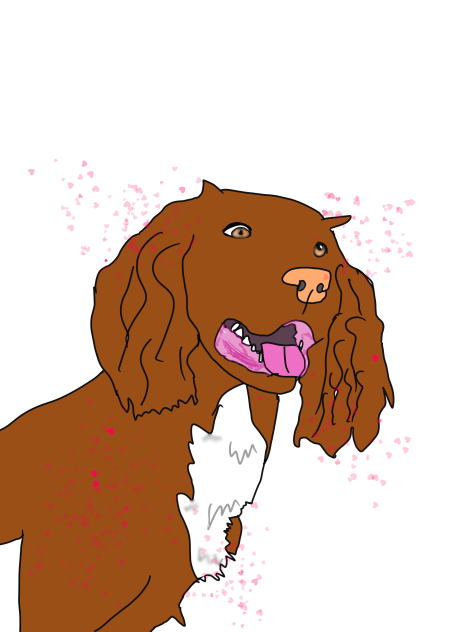 Cookie 🍪  my dog 🐕 ❤