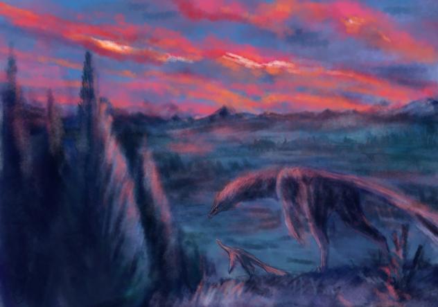 Northern sundown