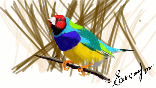 bird - ibisPaint