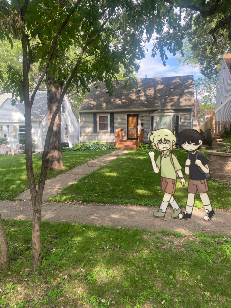 Walking in the neighborhood