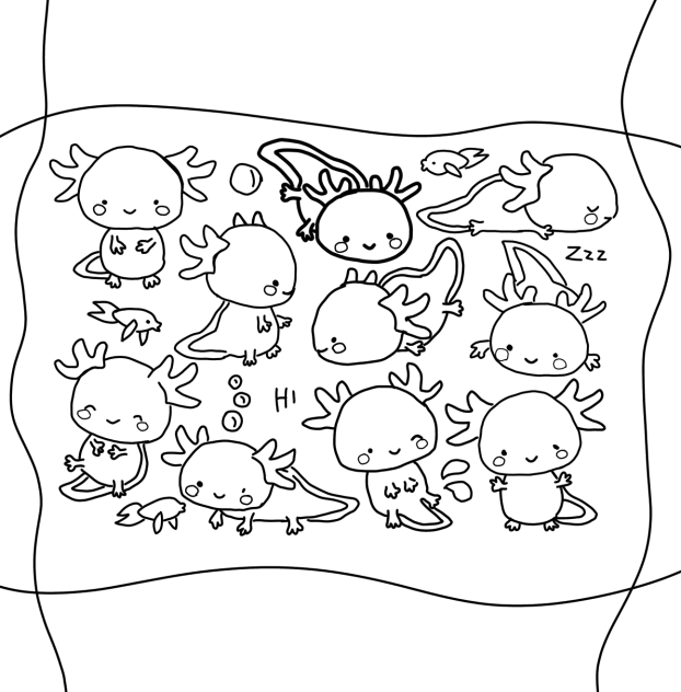 Axolotls!