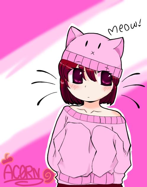 🐾🐾🎀