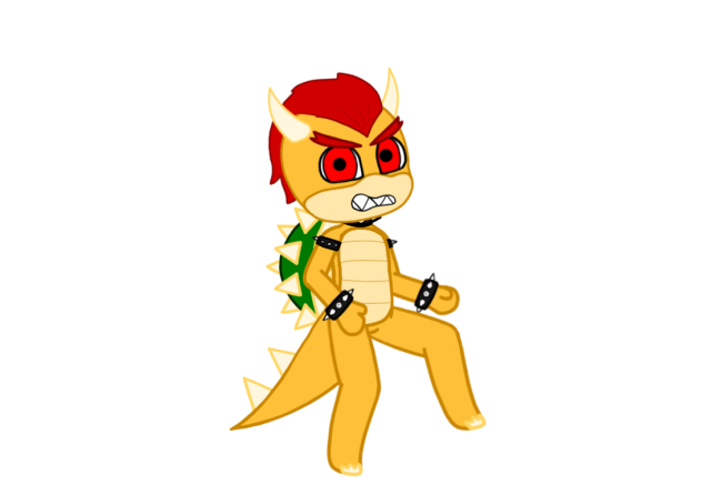 Bowser model