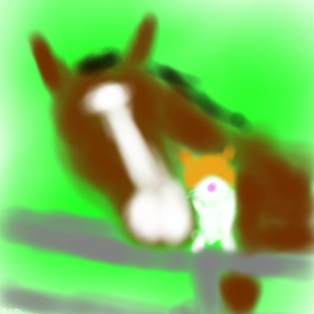 メイショウドトウwithメトさん