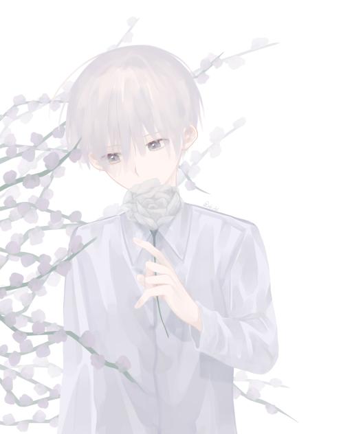 儚