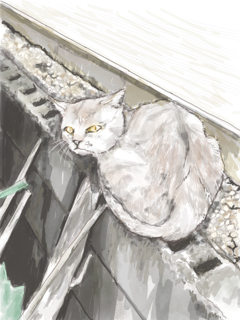 フン、若いな。それで後ろを取ったつもりか…