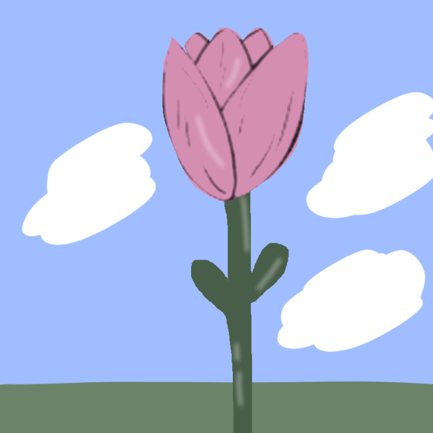 Rose of the sky