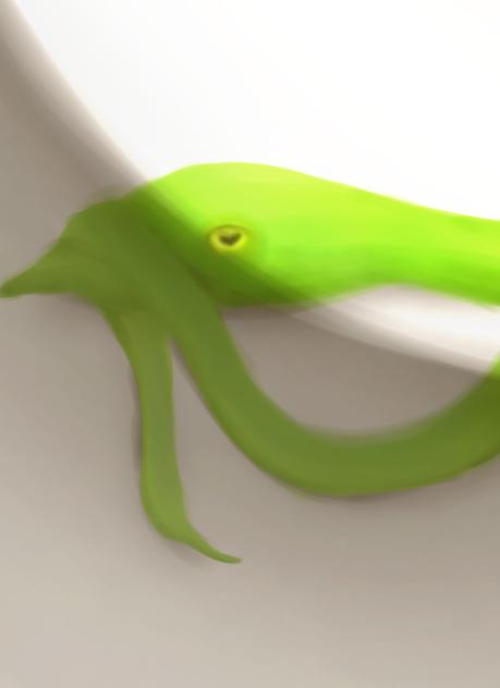 蛇🐍リメイク