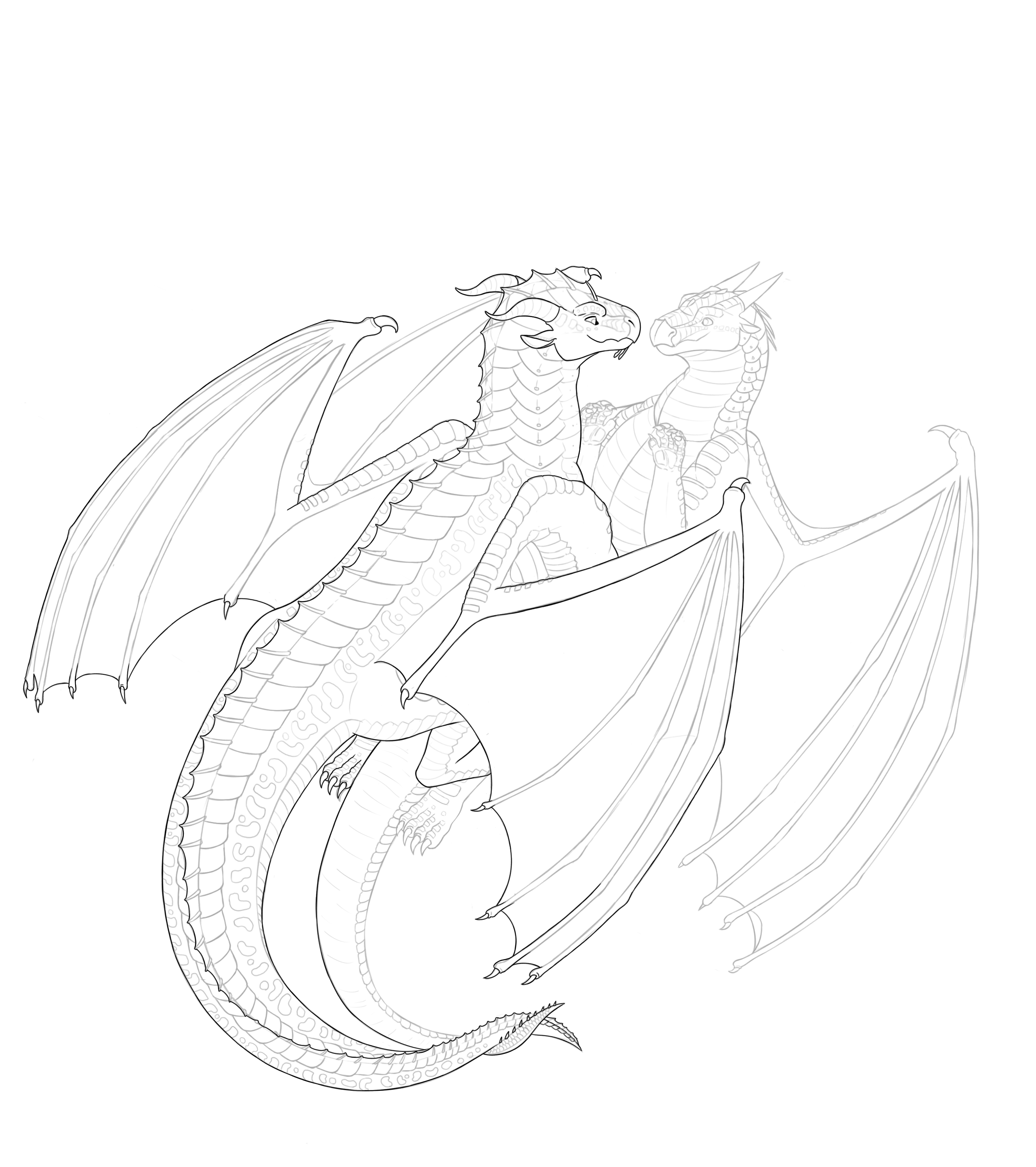 dragon comission - ibisPaint