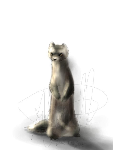 lil ferret guy heheh