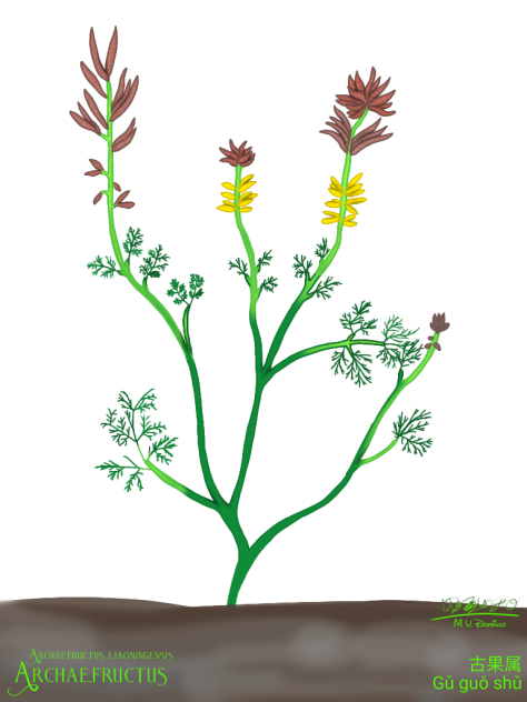 Archaefructus liaoningensis