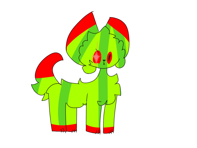 Melon cat