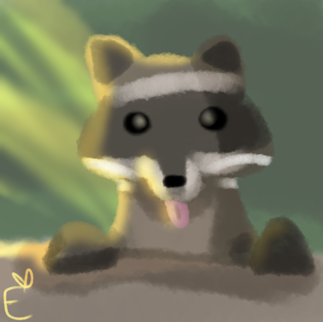 Raccoon