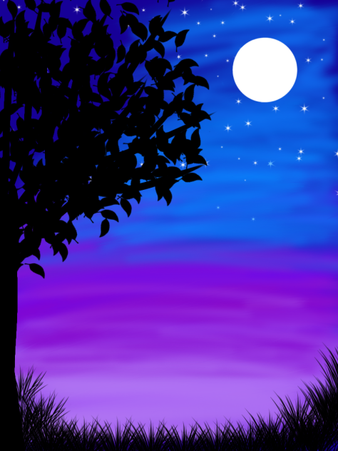 Starry night - ibisPaint
