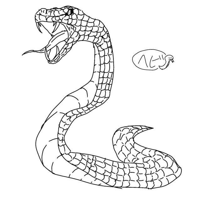 🐍