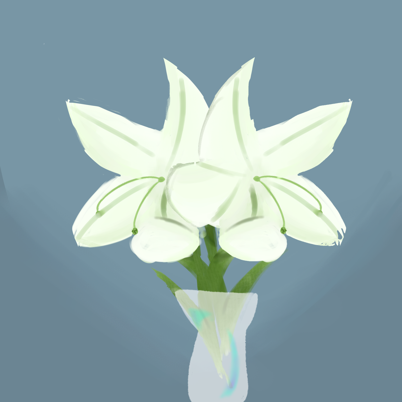 Lilys - ibisPaint