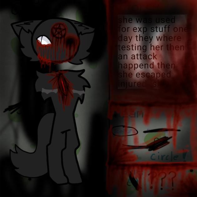 for CATAYAA