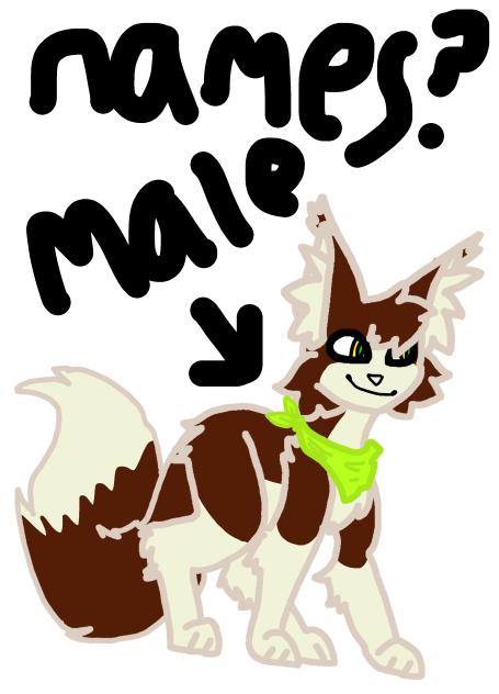 Random cat oc generator by alleypaw!