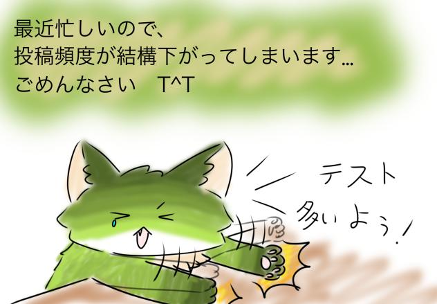 最近は忙しい💦
