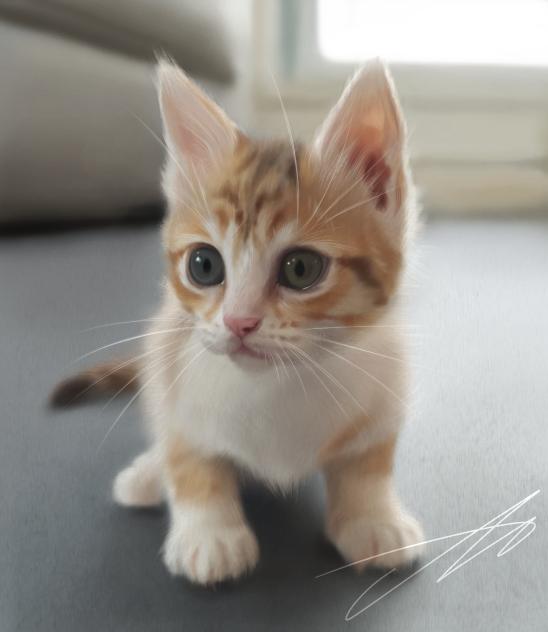 🐈