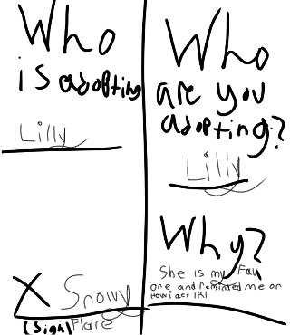 Aboption paper