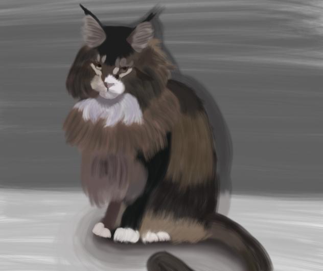 Cat brush