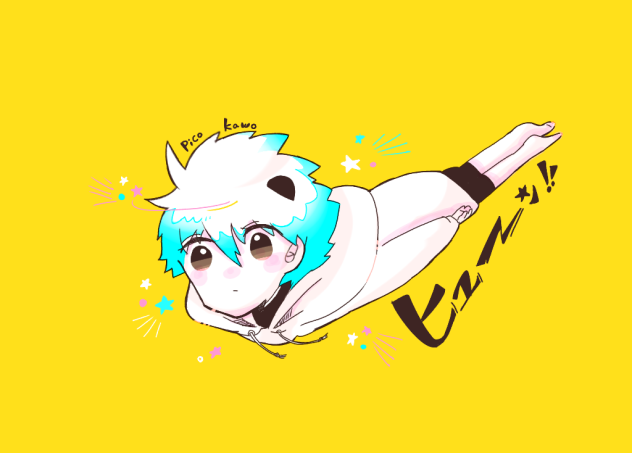 ピコカヲ