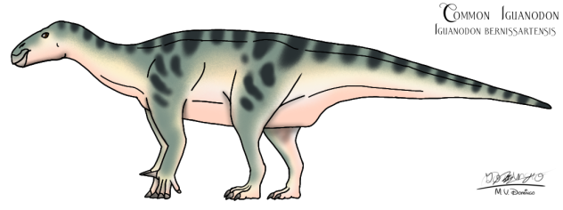 Iguanodon bernissartensis