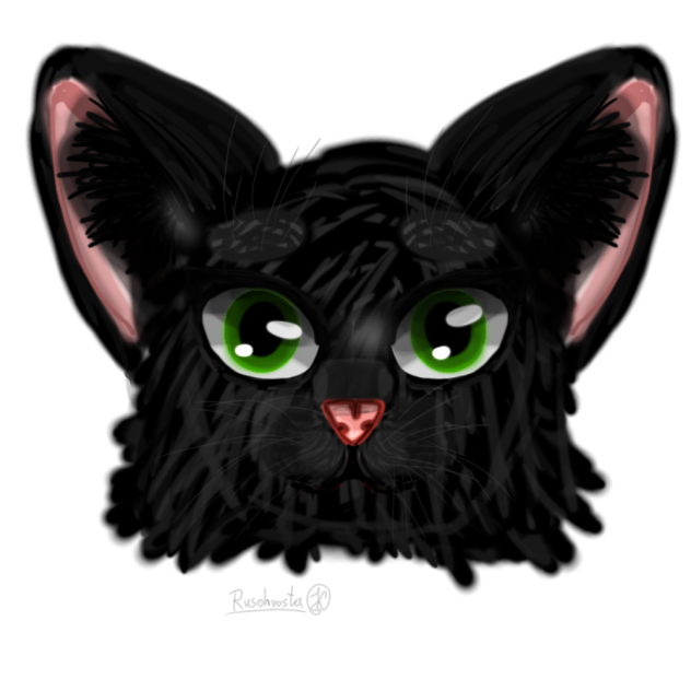 Падуболистка