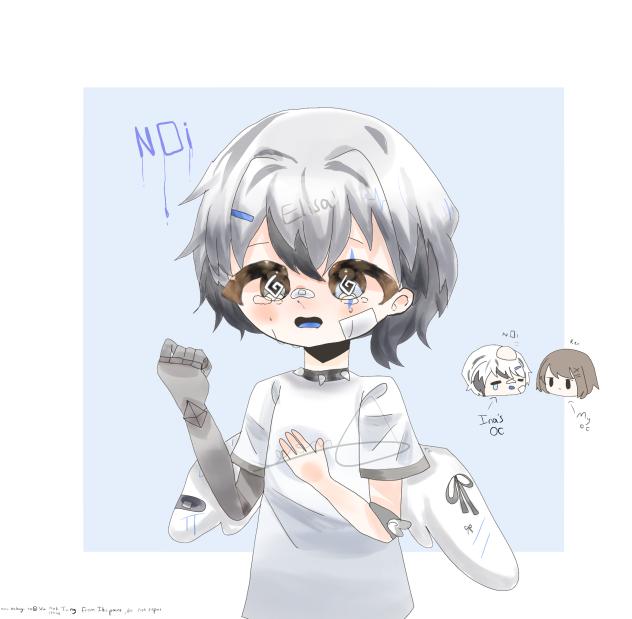 3rd DTIYS prize-Wilis Sugiyarti