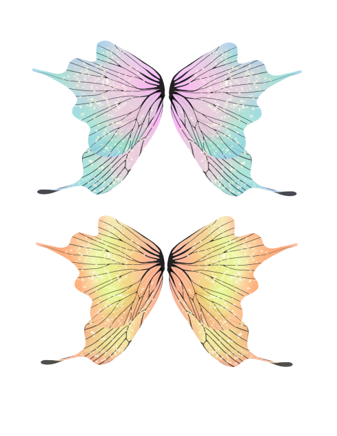 wings 02