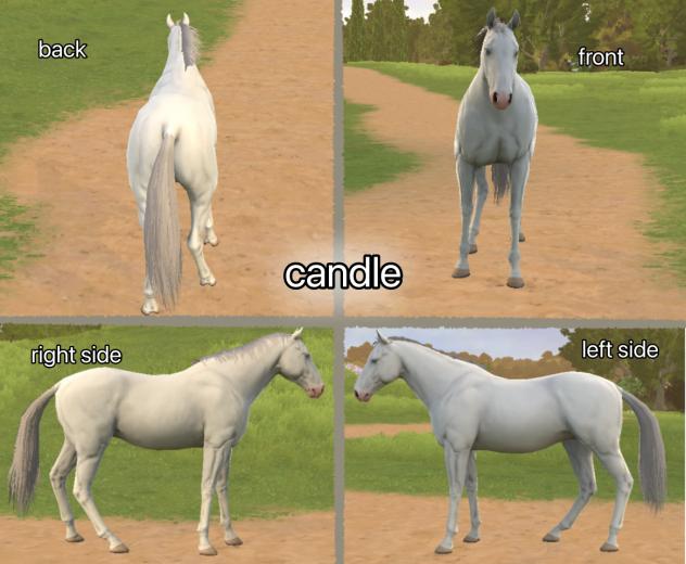 candle!
