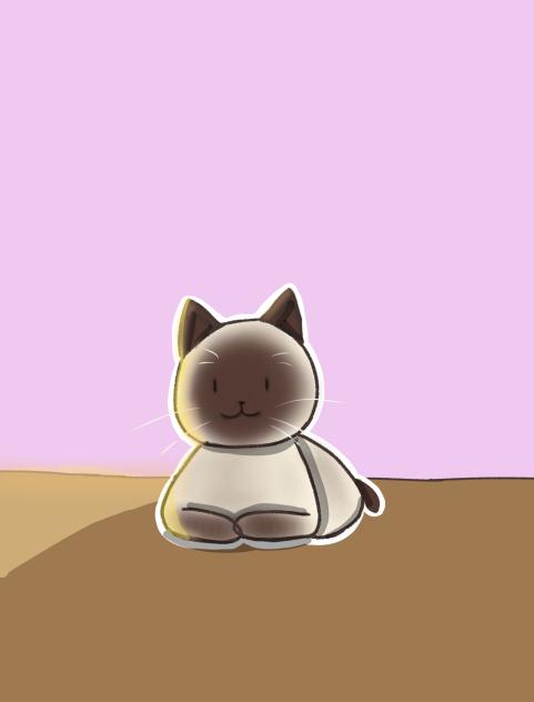 Siamese cat my favorite type of cat