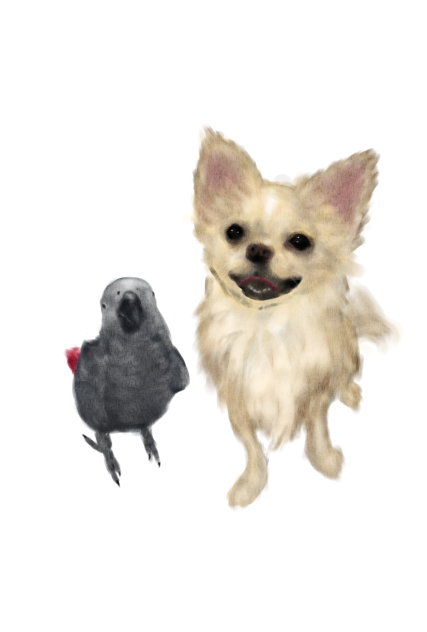 愛犬と愛鳥