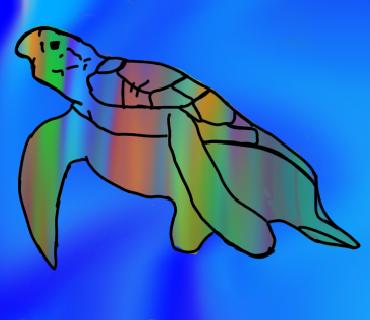 Sea turtle Rainbow - ibisPaint