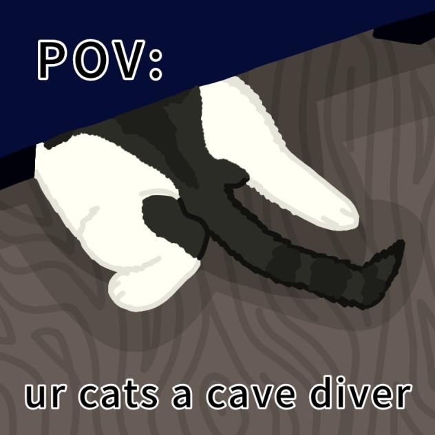 CaVe DiVeR cAt