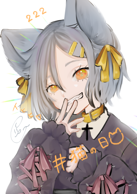 🐱ちゃん