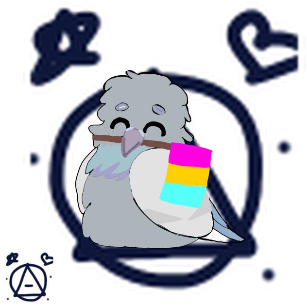 Pigeon 🐦