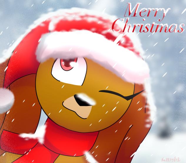 Merry Christmas❤️❄️