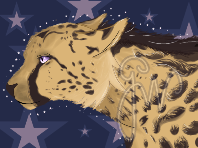 king cheetah 💫