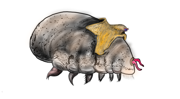 doodle bug - ibisPaint