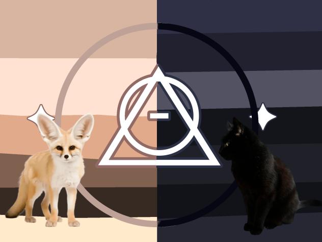 black cat and fennec fox therian flag