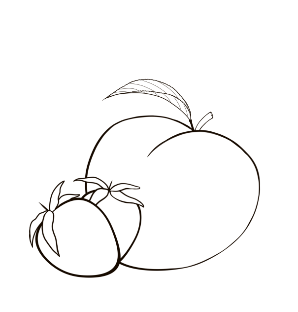 fruit outline