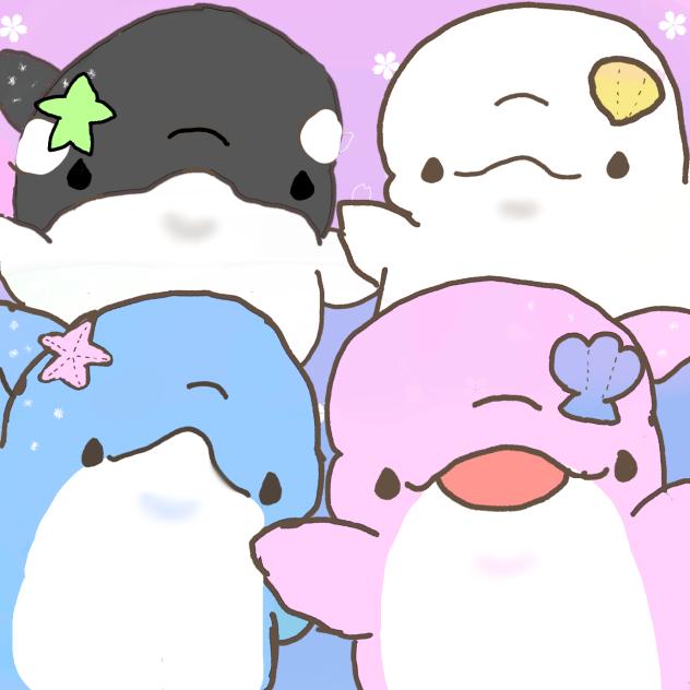 みいるかのかわい子ちゃんたち