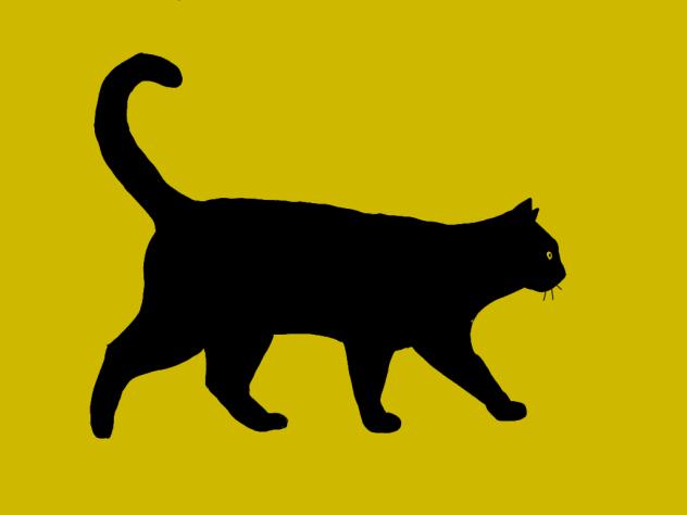 cat