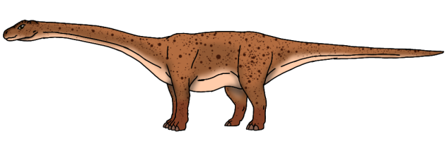 Taiga Diploterro (2023) male